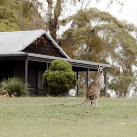Palmers Lane Estate Hunter Valley Pokolbin Extérieur photo