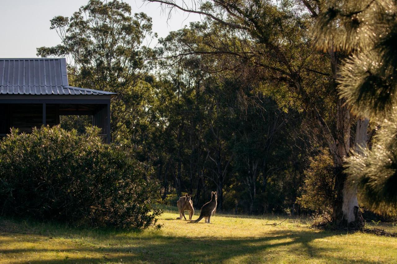 Palmers Lane Estate Hunter Valley Pokolbin Extérieur photo